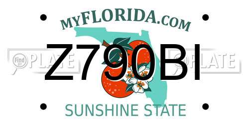 Z790BI Florida License Plate
