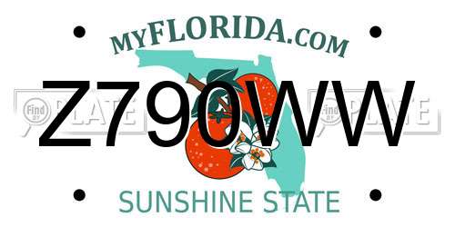 Z790WW Florida License Plate
