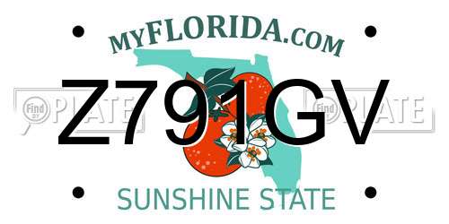 Z791GV Florida License Plate