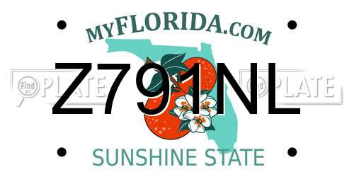 Z791NL Florida License Plate