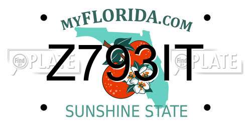 Z793IT Florida License Plate
