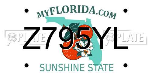 Z795YL Florida License Plate