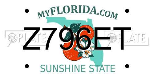 Z796ET Florida License Plate