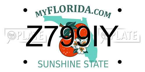 Z799IY Florida License Plate