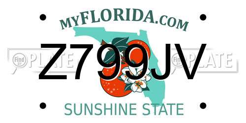 Z799JV Florida License Plate