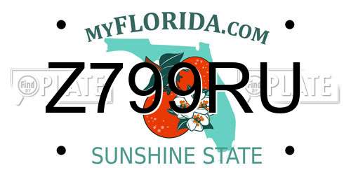 Z799RU Florida License Plate