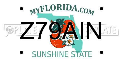 Z79AIN Florida License Plate