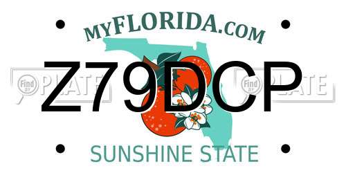 Z79DCP Florida License Plate
