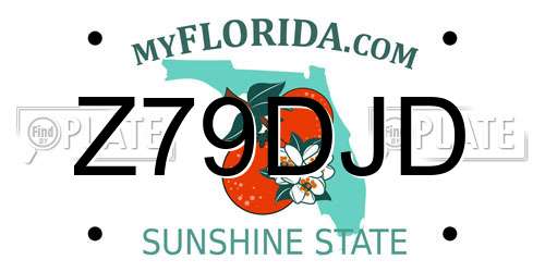 Z79DJD Florida License Plate