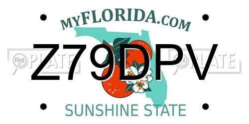 Z79DPV Florida License Plate