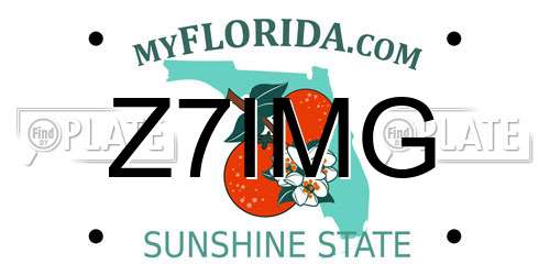 Z7IMG Florida License Plate
