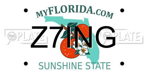 Z7ING Florida License Plate
