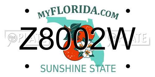 Z8002W Florida License Plate
