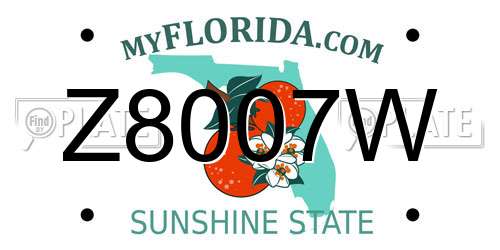 Z8007W Florida License Plate
