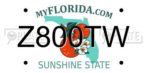 Z800TW Florida License Plate