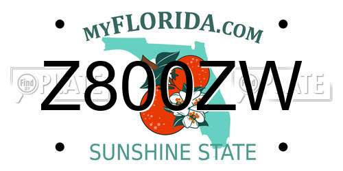 Z800ZW Florida License Plate