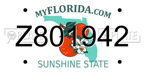Z801942 Florida License Plate