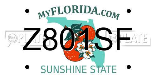 Z801SF Florida License Plate