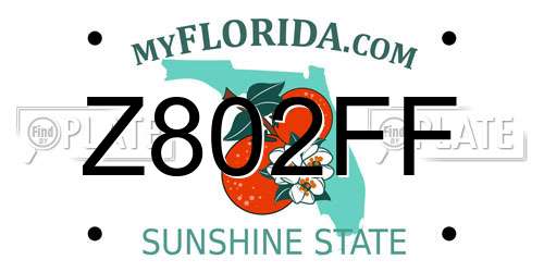 Z802FF Florida License Plate