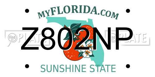 Z802NP Florida License Plate