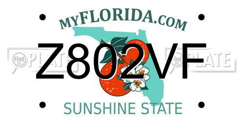 Z802VF Florida License Plate