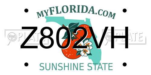 Z802VH Florida License Plate