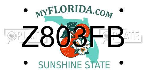 Z803FB Florida License Plate