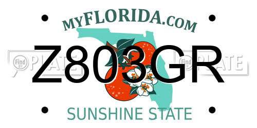 Z803GR Florida License Plate