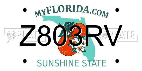 Z803RV Florida License Plate