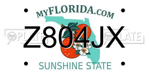 Z804JX Florida License Plate