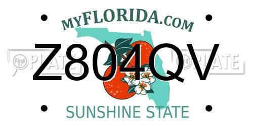 Z804QV Florida License Plate
