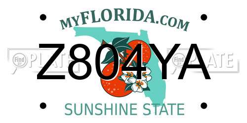 Z804YA Florida License Plate