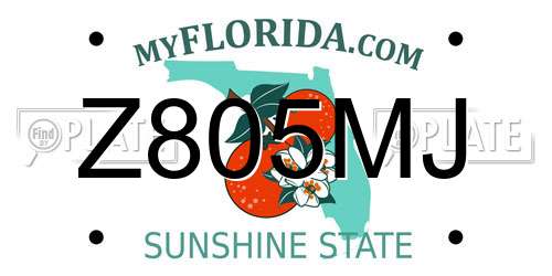 Z805MJ Florida License Plate