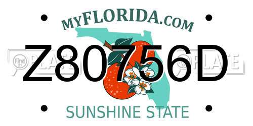 Z80756D Florida License Plate