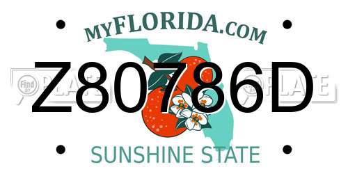 Z80786D Florida License Plate
