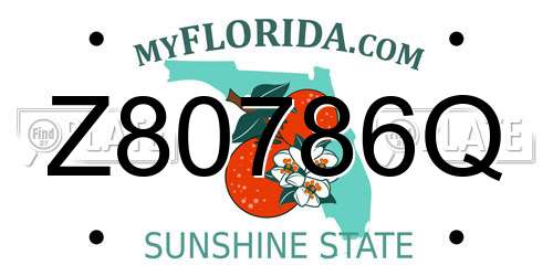 Z80786Q Florida License Plate