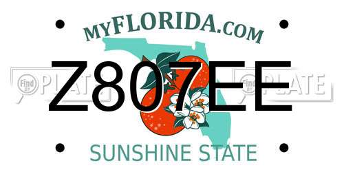 Z807EE Florida License Plate