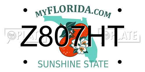 Z807HT Florida License Plate