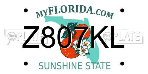Z807KL Florida License Plate