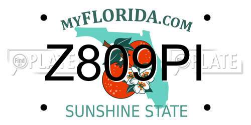 Z809PI Florida License Plate