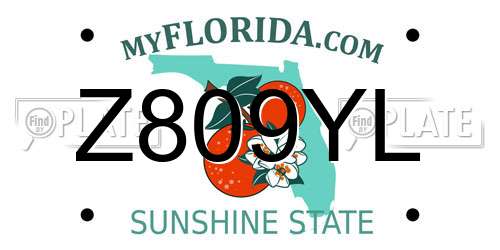 Z809YL Florida License Plate