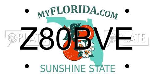 Z80BVE Florida License Plate