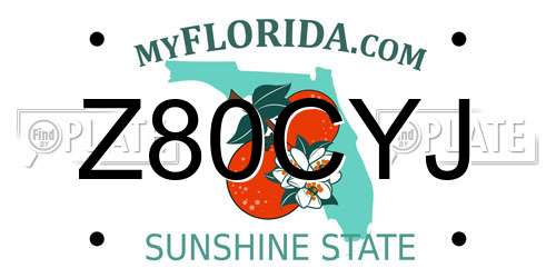 Z80CYJ Florida License Plate