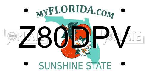 Z80DPV Florida License Plate