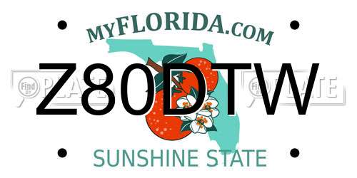 Z80DTW Florida License Plate