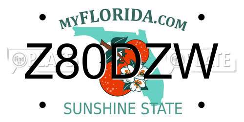 Z80DZW Florida License Plate