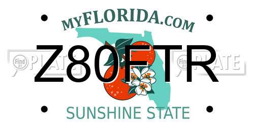 Z80FTR Florida License Plate