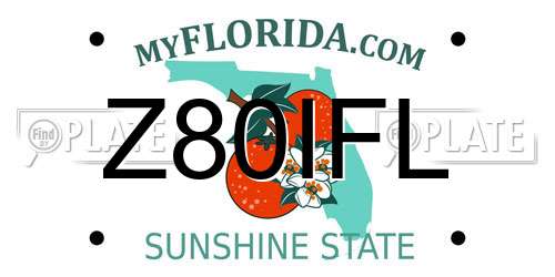 Z80IFL Florida License Plate