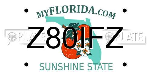 Z80IFZ Florida License Plate