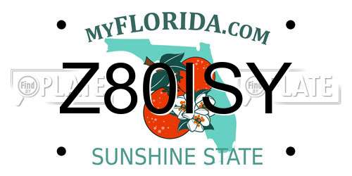 Z80ISY Florida License Plate